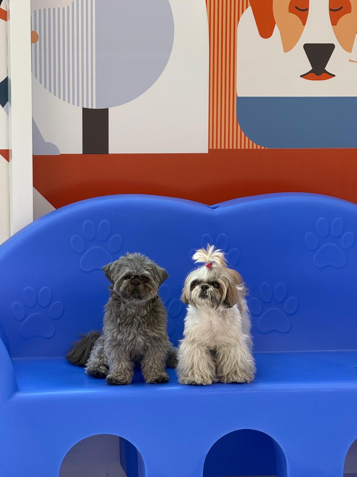 Fido Playhouse — PHOTO-2026-04-27-11-51-31 3